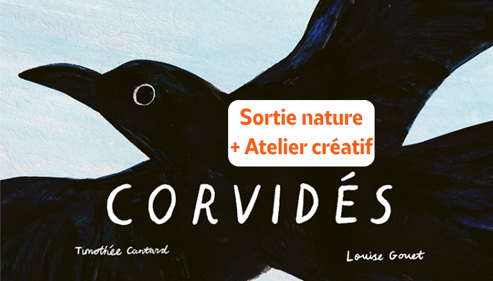 Exploration et atelier créatif autour des corvidés à Rennes
